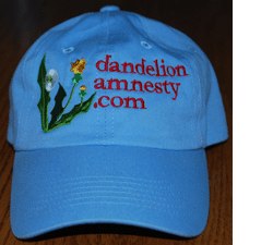 Dandelion Amnesty Cap